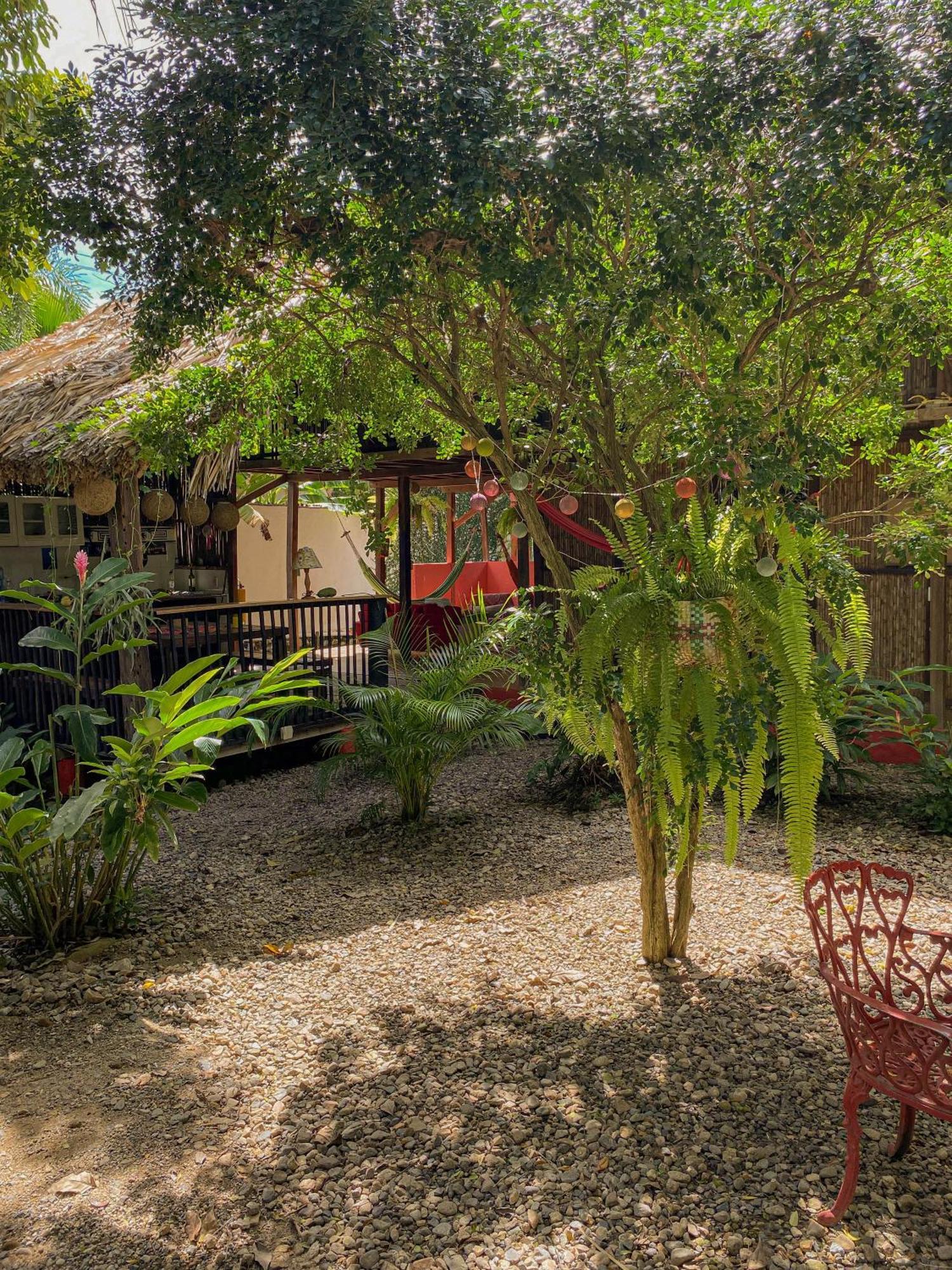 Hostal Zinpar Palomino Esterno foto